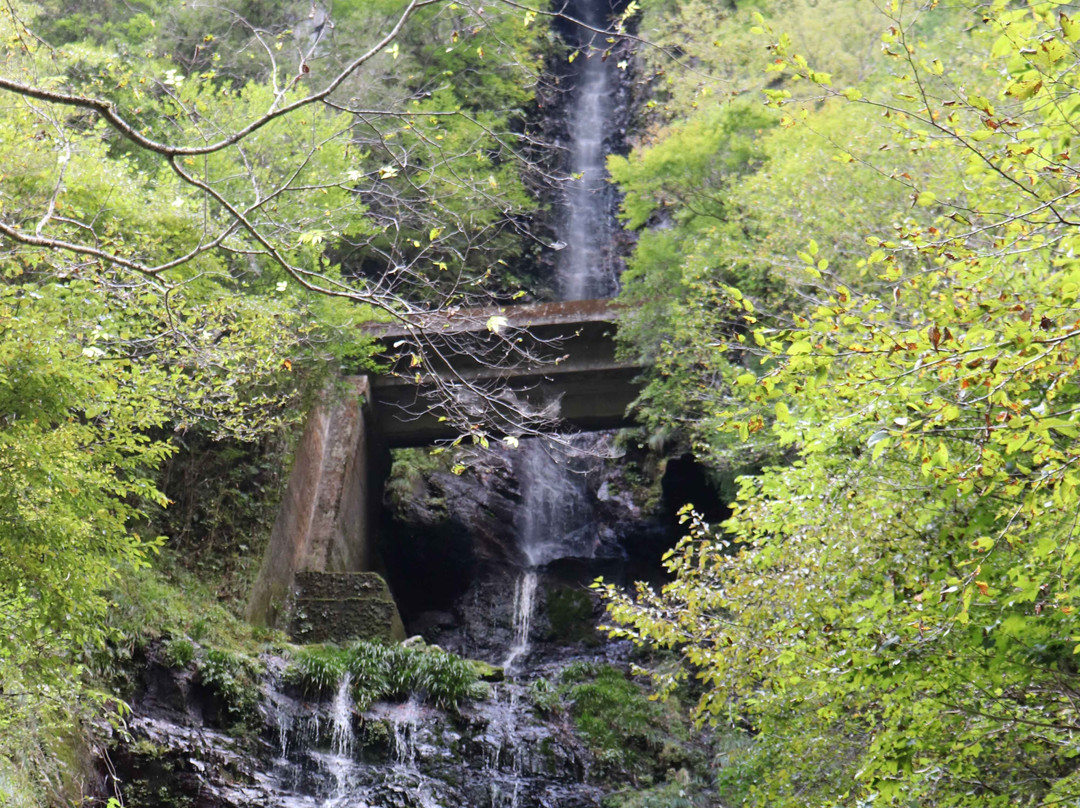Yasuike Valley-仁淀川町必去景点