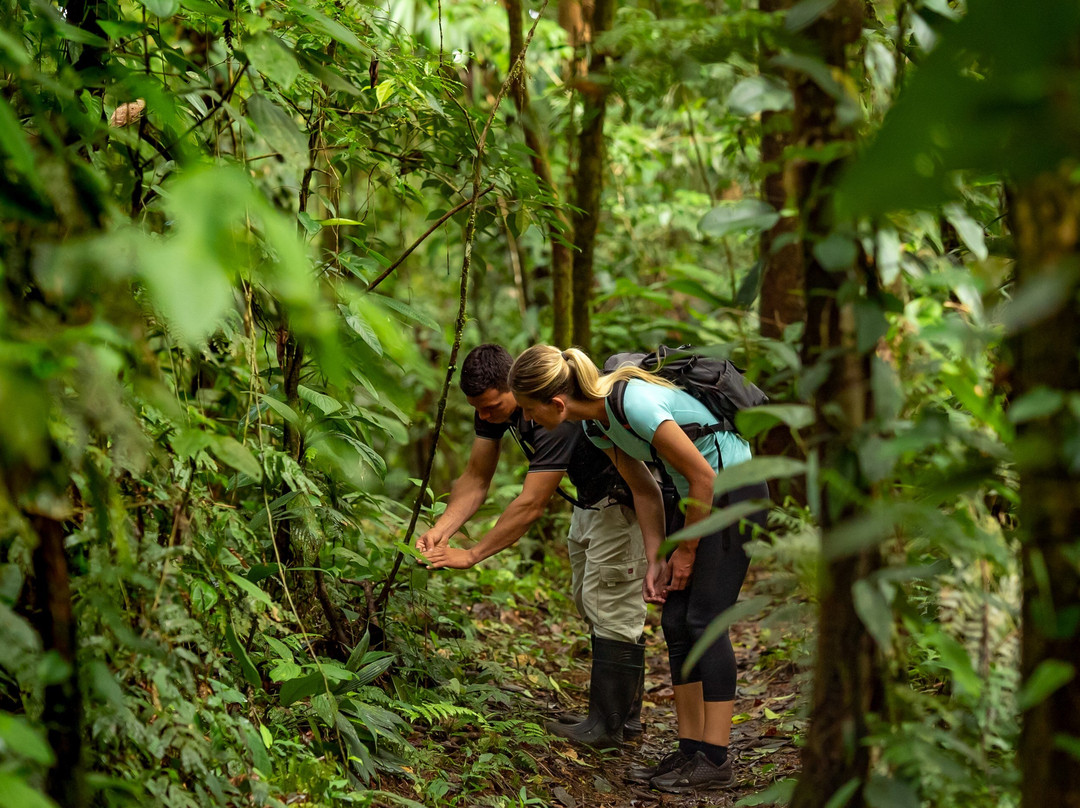 Ecolirios Boutique Hotel and Spa主图