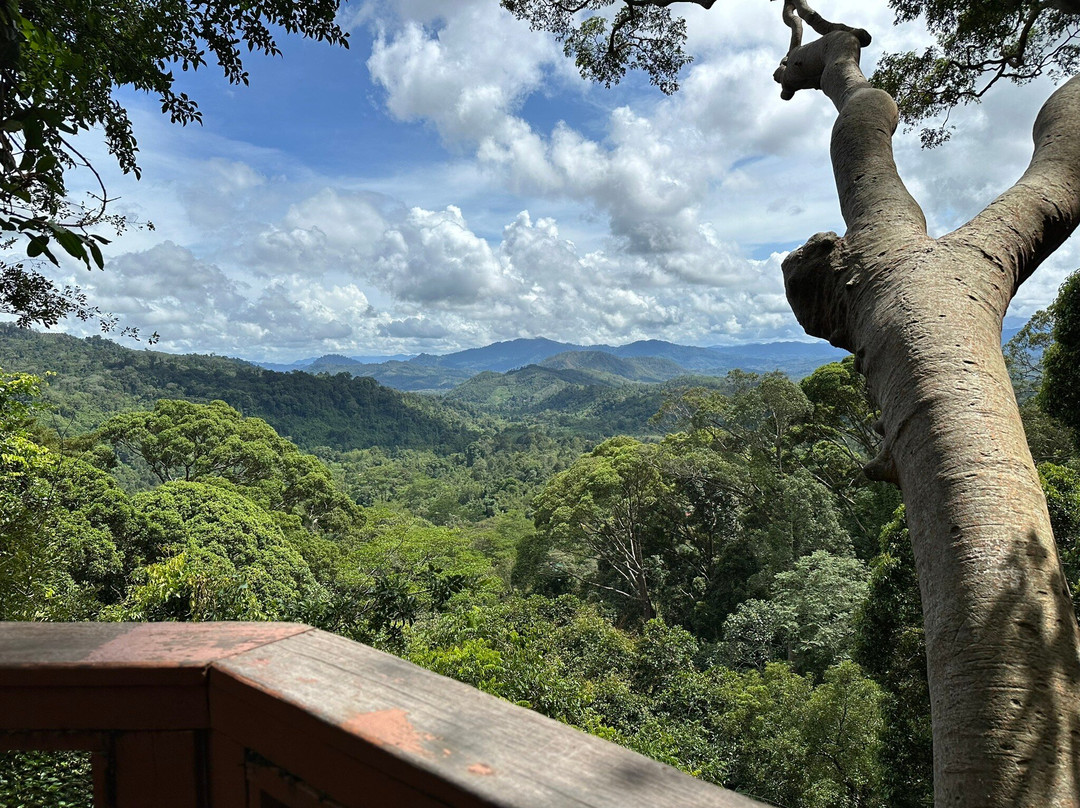 Remarkable Borneo Travel & Tours Sdn Bhd-兵南邦必去景点