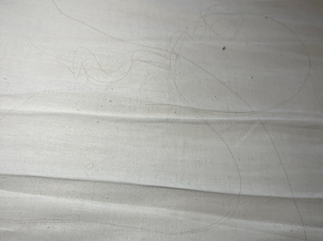 阿维尼达德尔索提约酒店主图