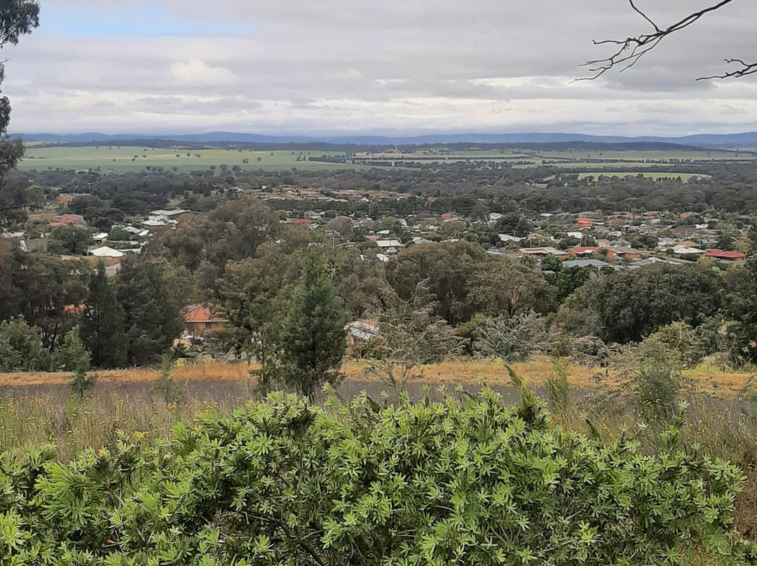 Memorial Hill Lookout景点图片