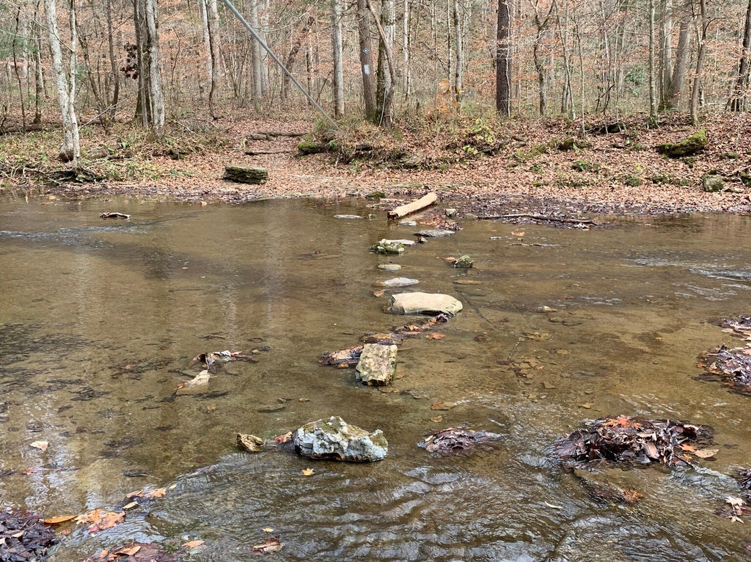 Window Cliffs State Natural Area-Baxter必去景点