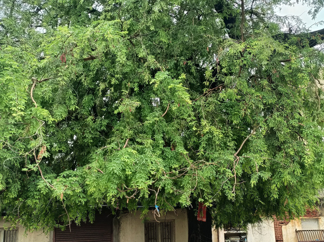 Harihareshwara Temple景点图片