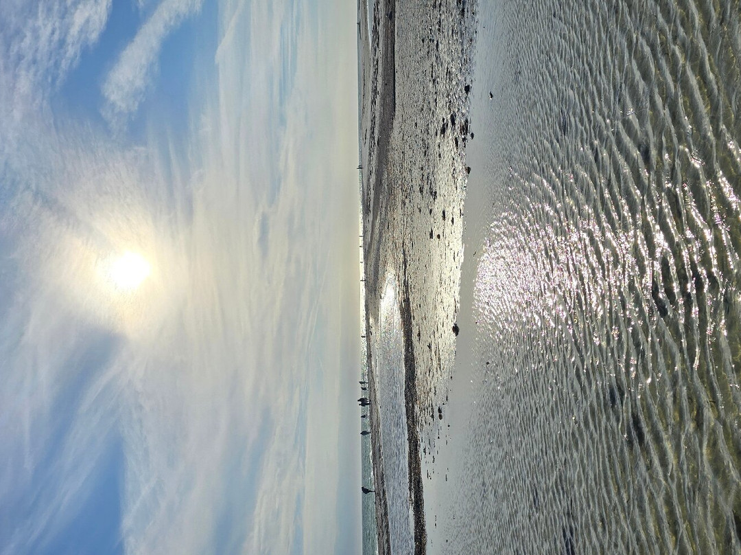 Spongorama's Cruise Lines-塔彭斯普林斯必去景点