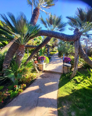 Self Realization Fellowship Hermitage & Meditation Gardens-恩西尼塔斯必去景点