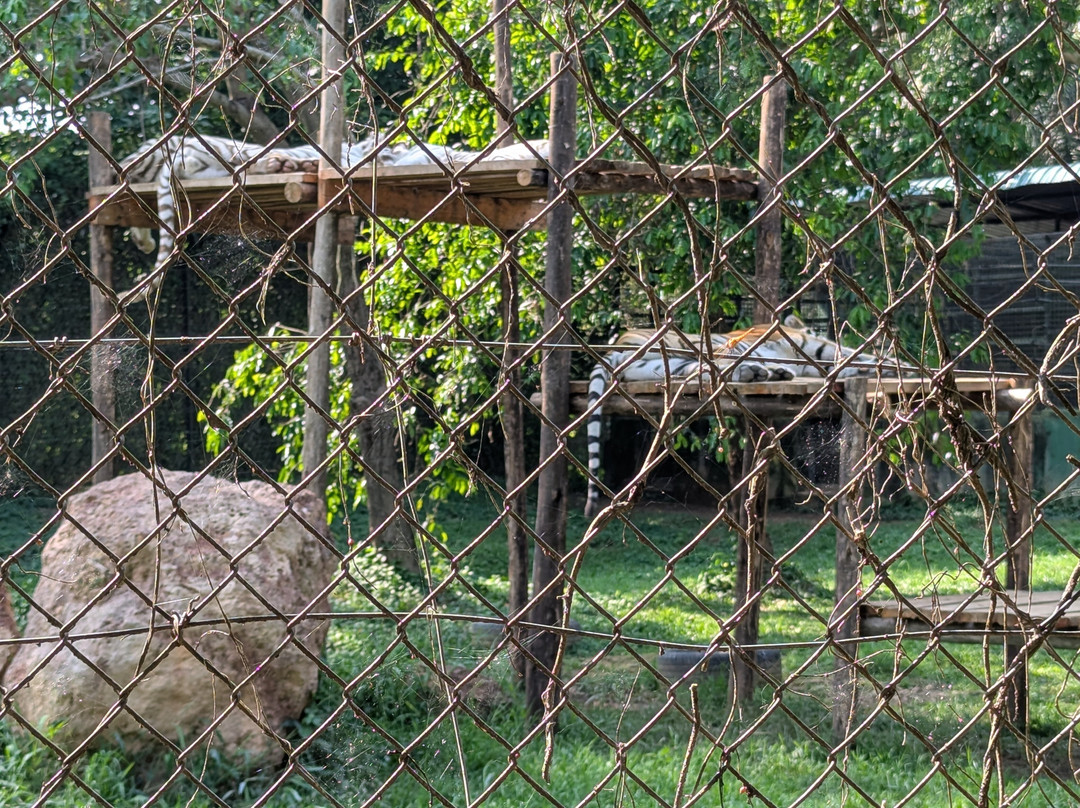 Entebbe Zoo