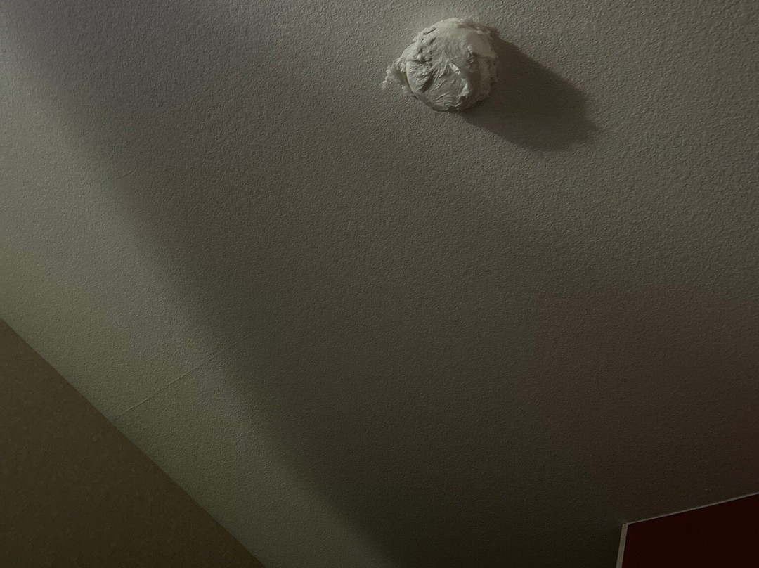 Hampton Inn Detroit/southgate主图