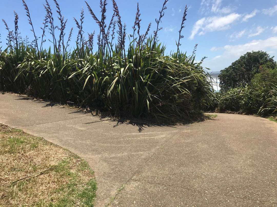 穆里怀塘鹅栖息地景点图片