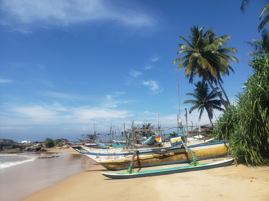 City Tours India-新德里必去景点