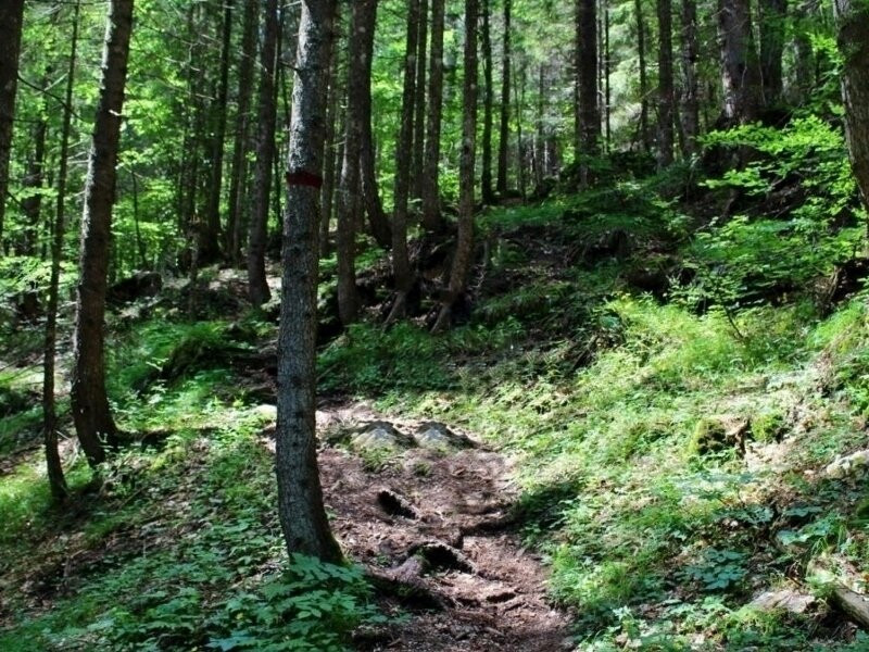 Sentiero Natura Val Pramper景点图片