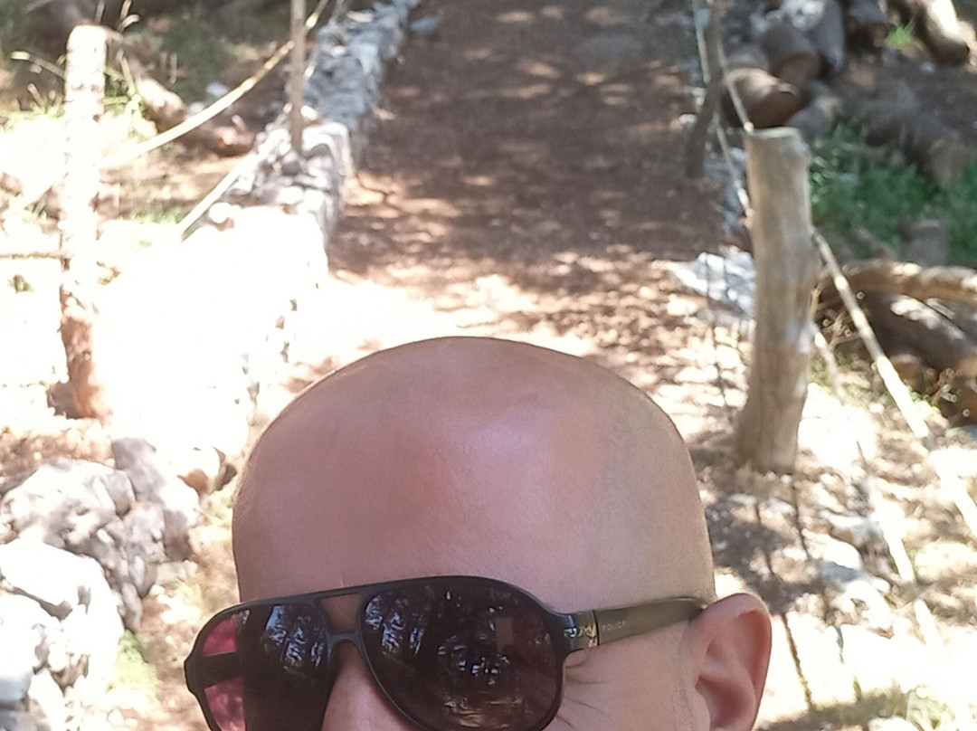 The Cedars of God-Bcharre必去景点