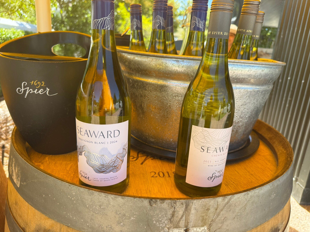 Bike and Hike Day Tours-开普敦中心区必去景点