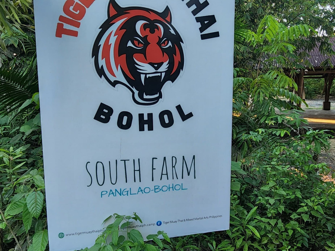 Tiger Muay Thai Bohol-Bolod必去景点