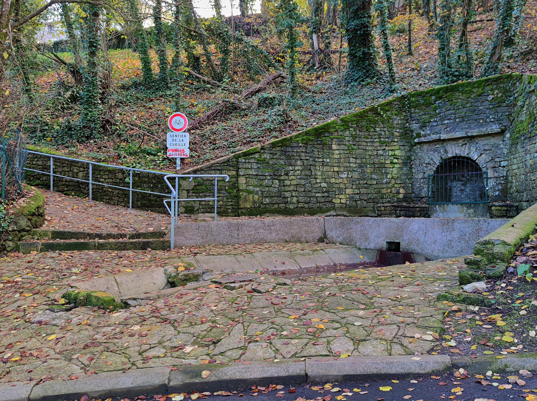 Lavoirs Et Fontaine De Sciecq景点图片