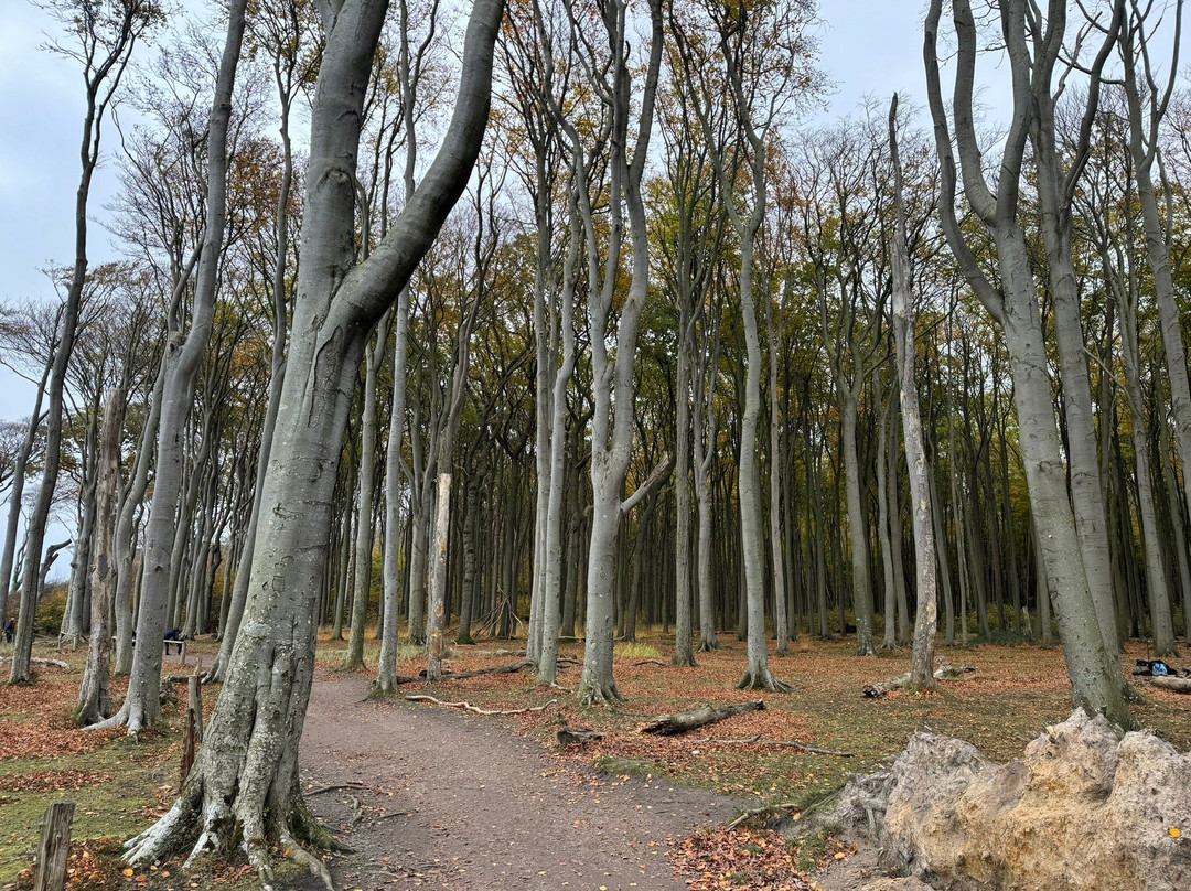 Gespensterwald景点图片