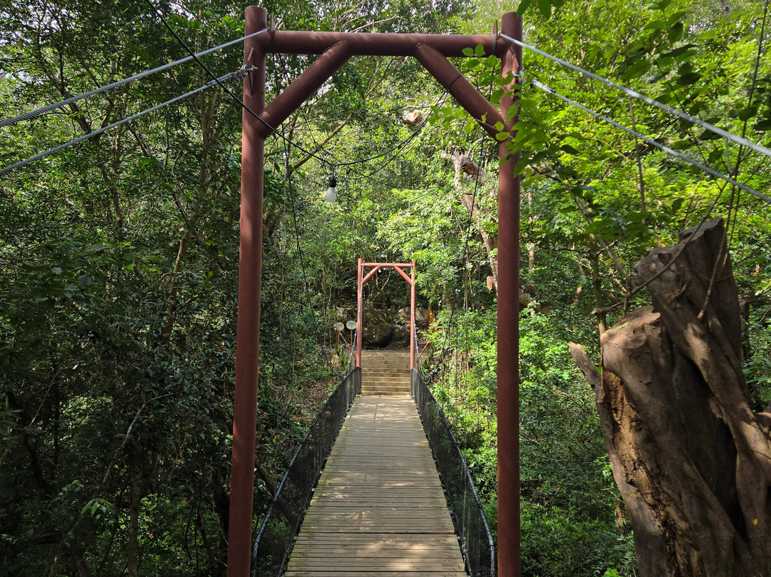 Adventure Tours Hacienda Guachipelin景点图片