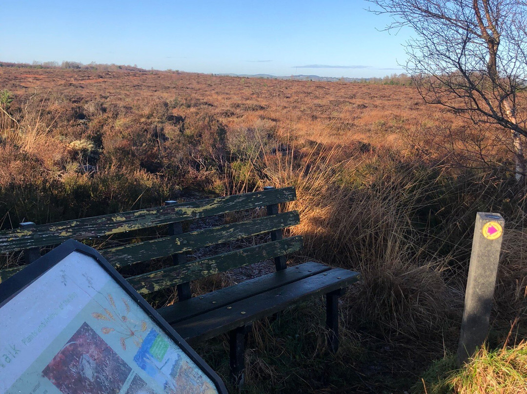 Girley Bog Eco Walk-凯尔斯镇必去景点