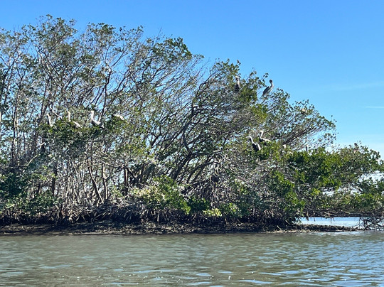 Ride and Paddle By Siesta Sports Rentals-西耶斯塔岛必去景点