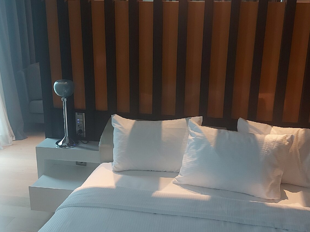 Ramada Hotel & Suites by Wyndham Izmir Kemalpasa主图