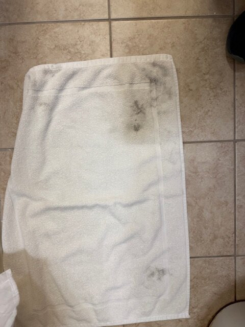 Super 8 by Wyndham Waterloo主图