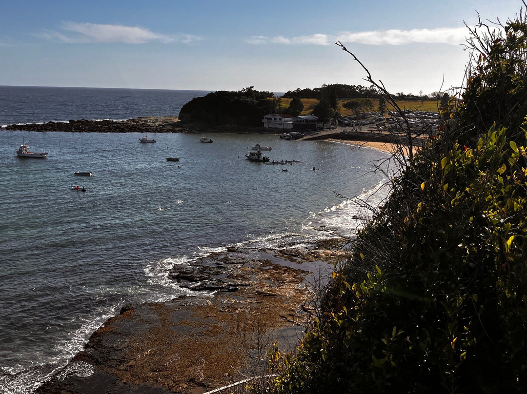 Terrigal Boardwalk景点图片
