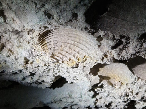 Terradamare Cooperativa Turistica a Palermo-巴勒莫必去景点