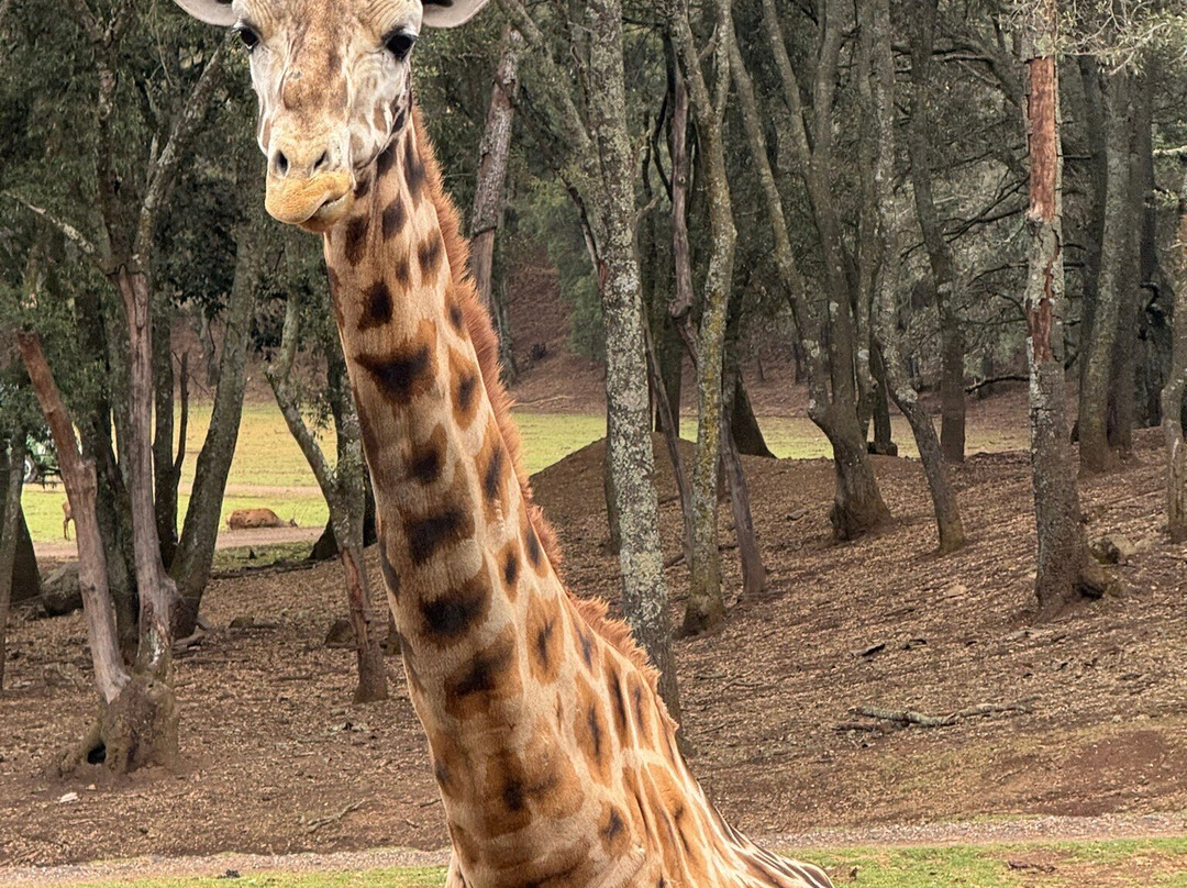 Bioparque Estrella México景点图片