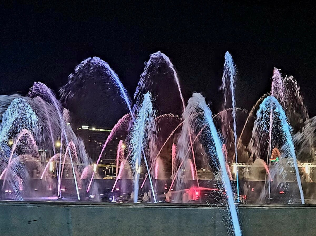 Friendship Fountain-杰克逊维尔必去景点