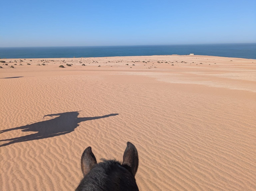 Cheval Agadir Ranch Acienda-奥瑞尔必去景点