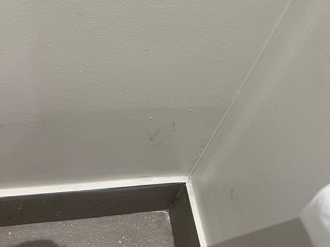 Enjoy Santiago Hotel del Valle主图