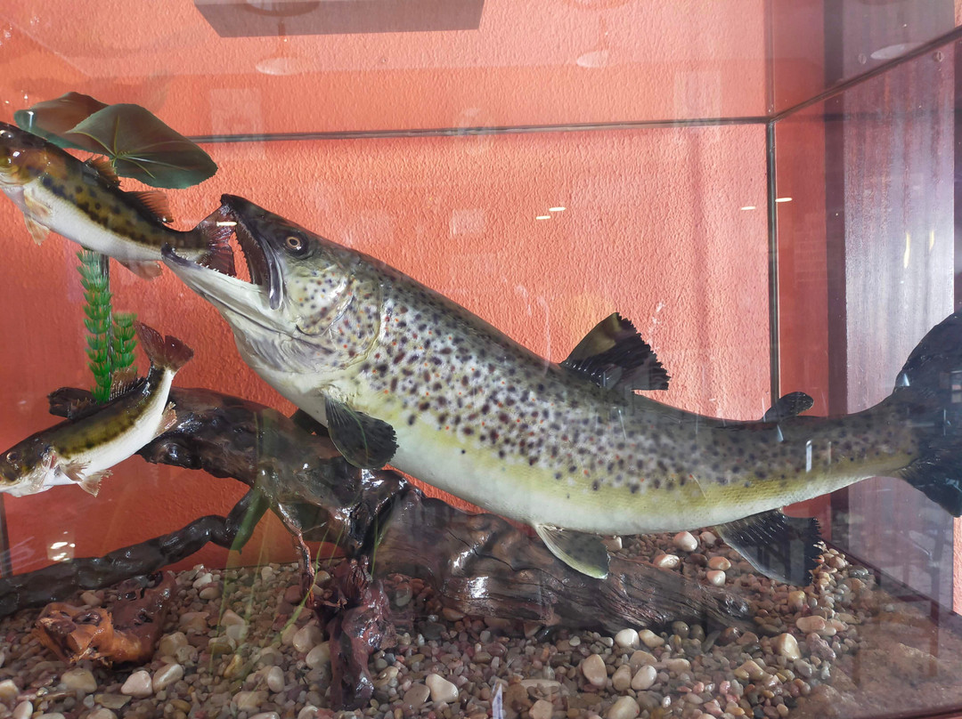 Fervenza Casa Grande主图