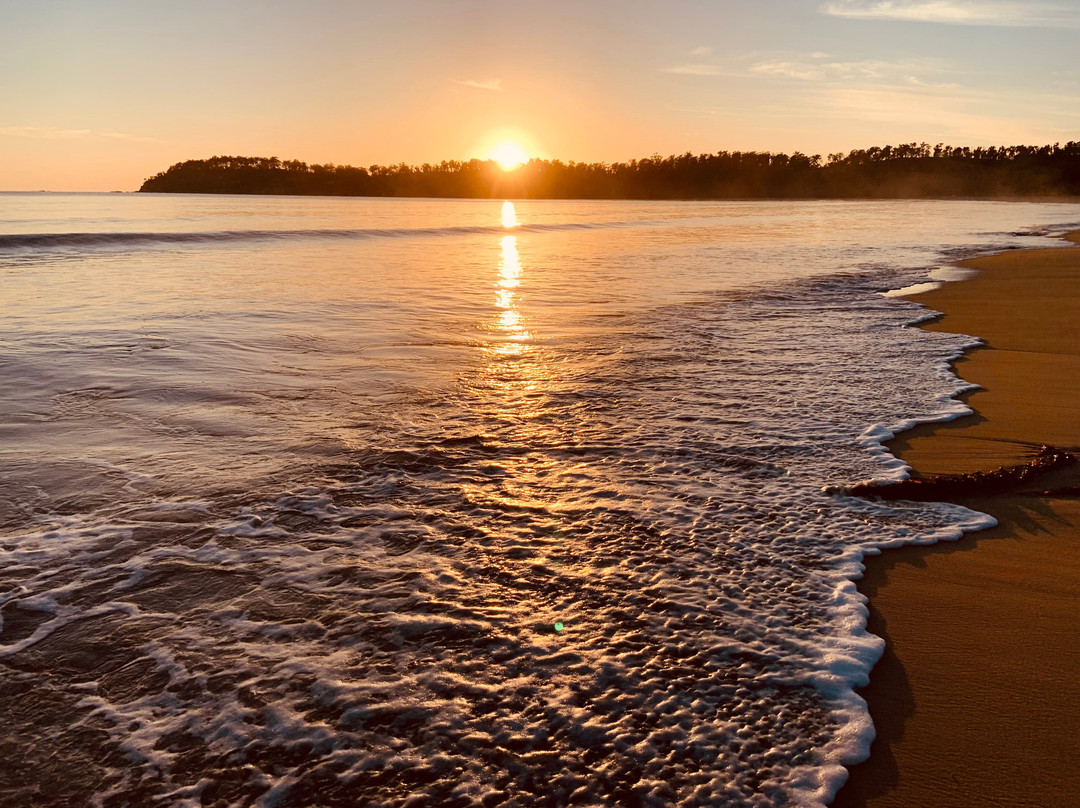 探索假日公园-伊甸 主图
