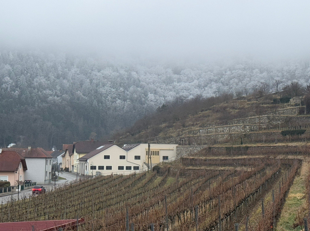 Weingut Nigl-Senftenberg必去景点