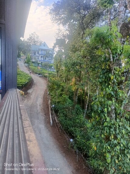 Eterno Camellia & Elettaria主图