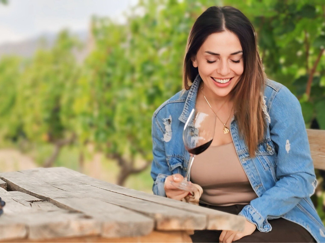 Tamara's Travel Vibes-埃里温必去景点