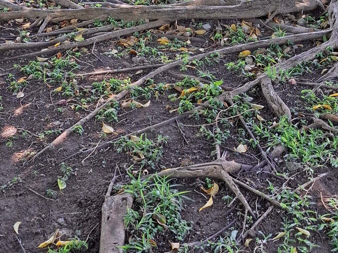 Royalton Lake-Port Salines必去景点