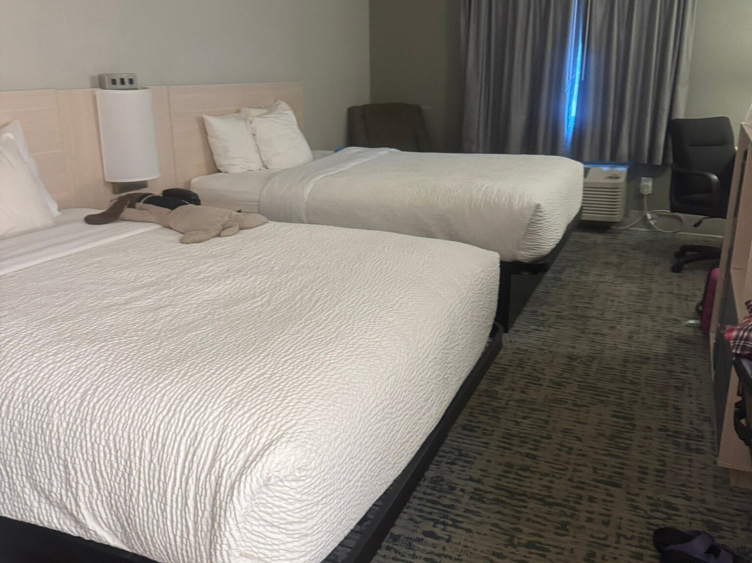 Baymont by Wyndham LaGrange主图