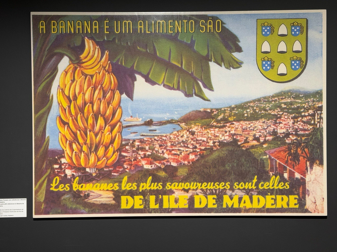 BAM - Centro Da Banana Da Madeira-Ponta Do Sol必去景点