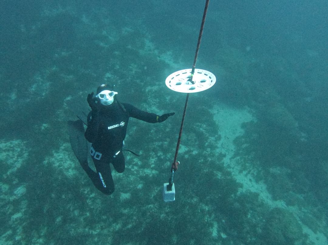 Apnea Total Malta - Freediving School-圣保罗湾城必去景点