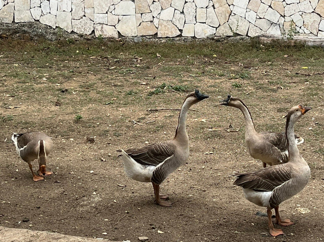 Brunei Hotel Boutique