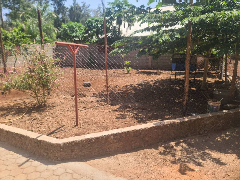 Kilimanjaro Scenic Lodge主图