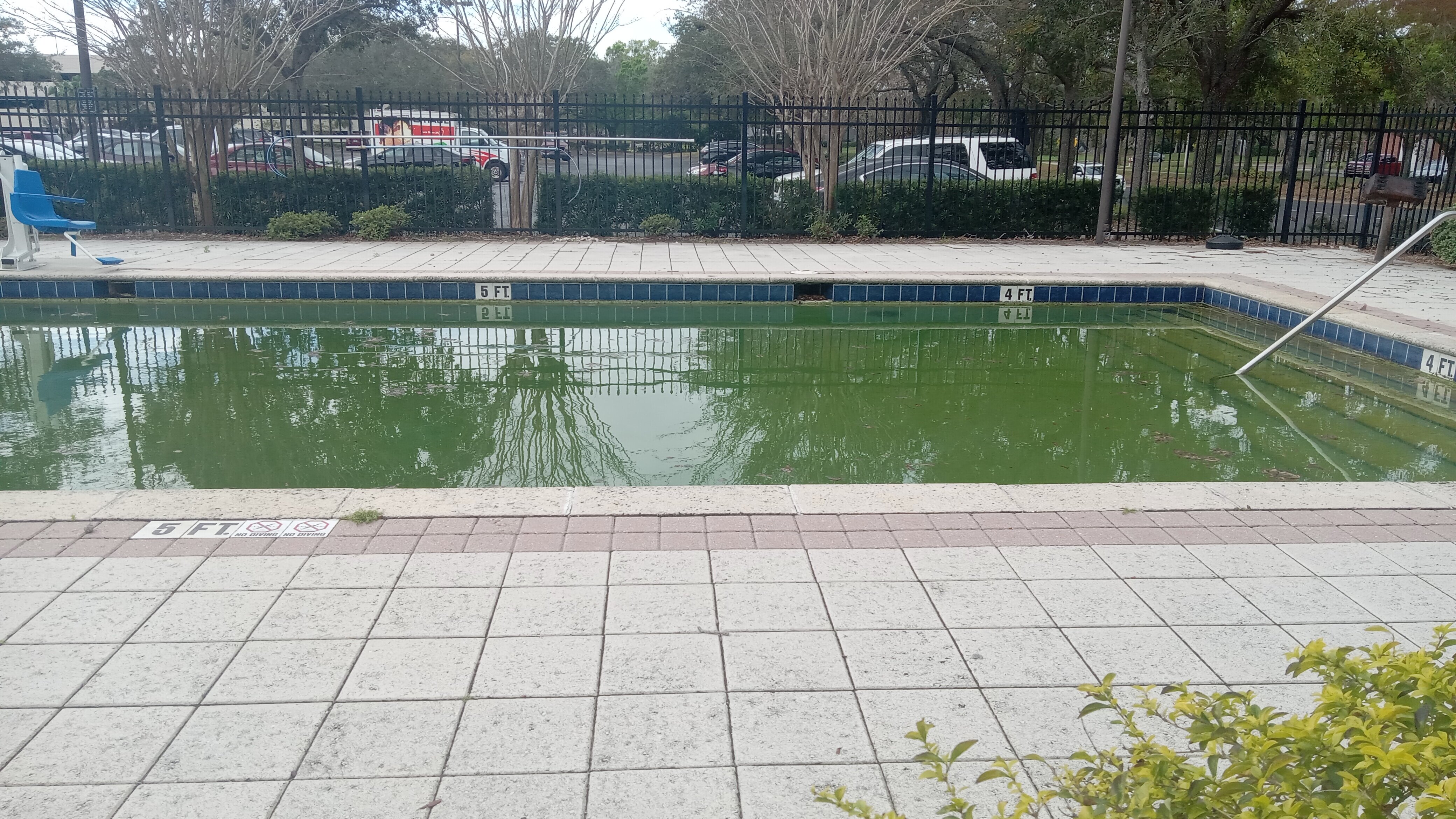 Extended Stay America Select Suites - Orlando - Maitland - Summit Tower Blvd-泳池