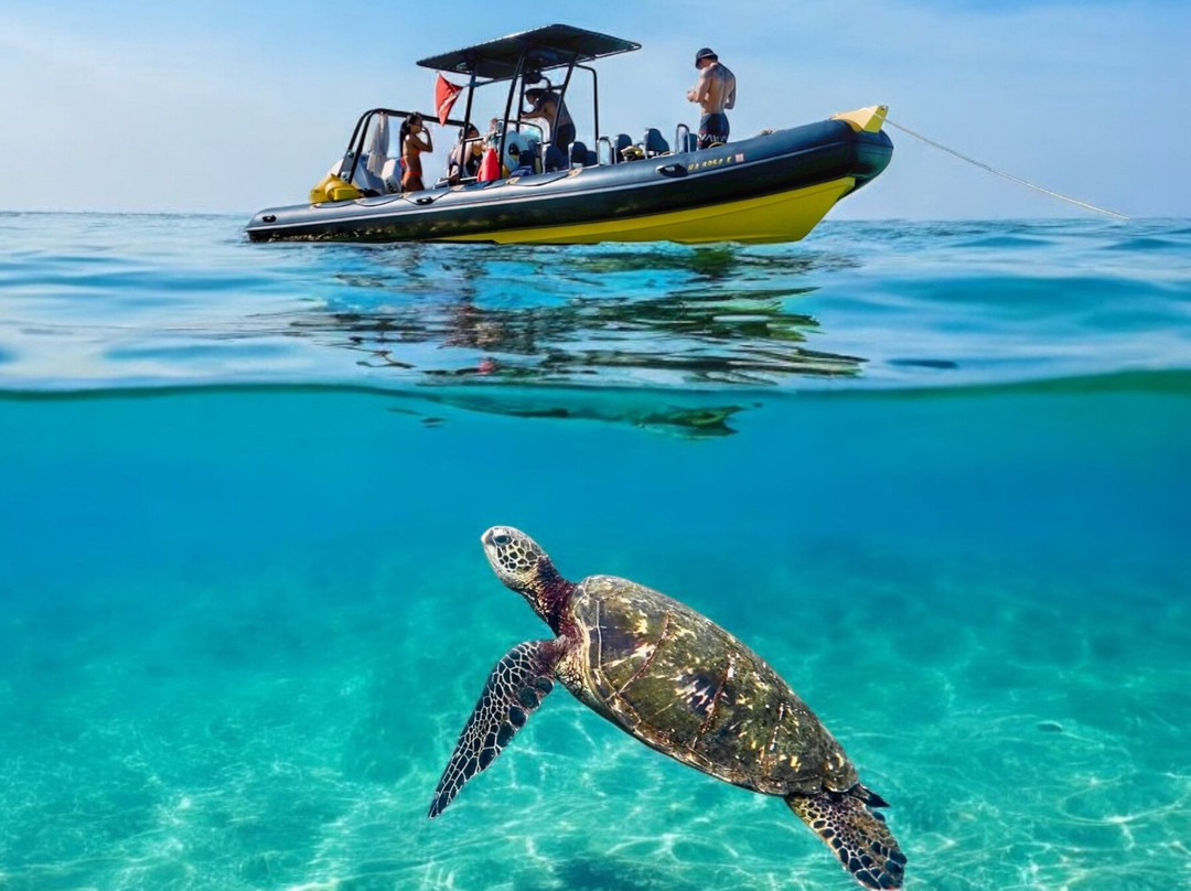 Diamond Head Cruises