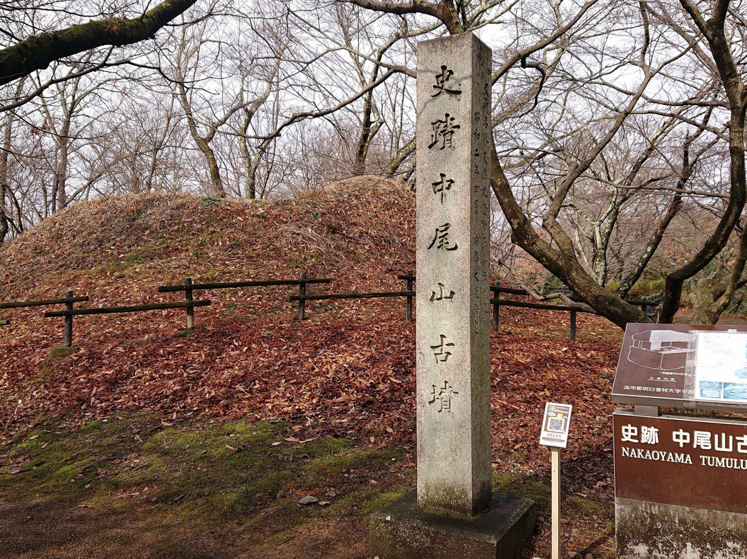 Nakaoyama Ancient Tomb景点图片