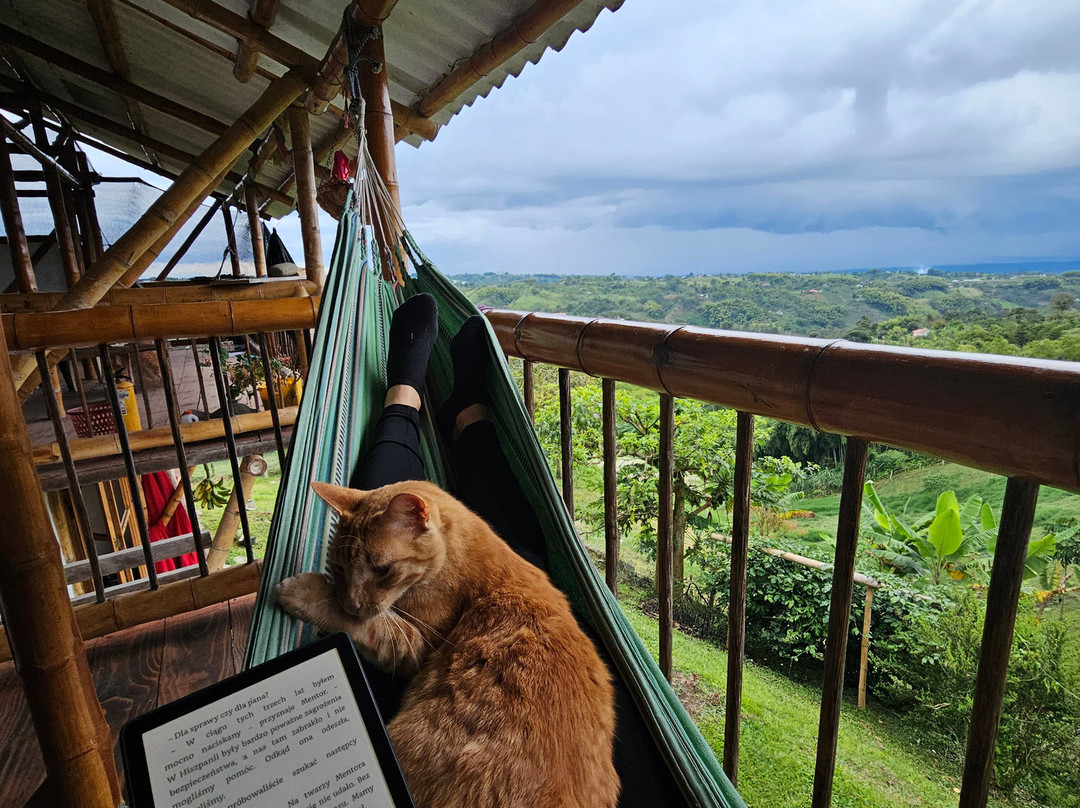 Finca Akila-Filandia必去景点