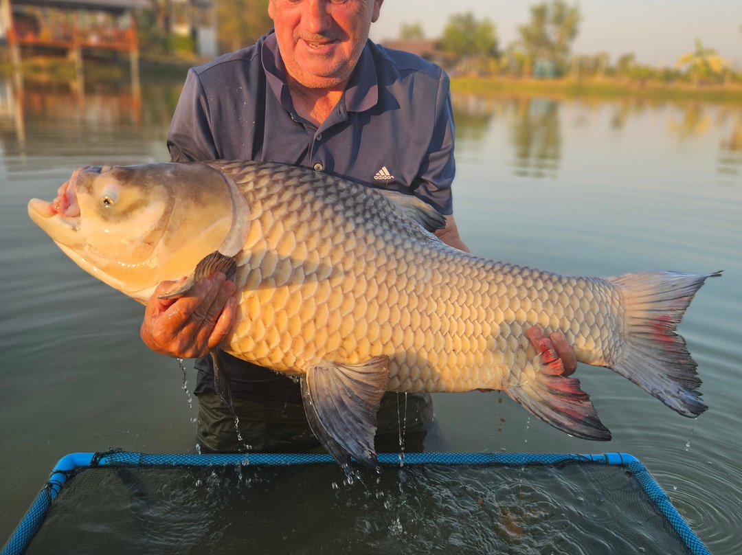 Maybreeze Fishery-加拉信必去景点