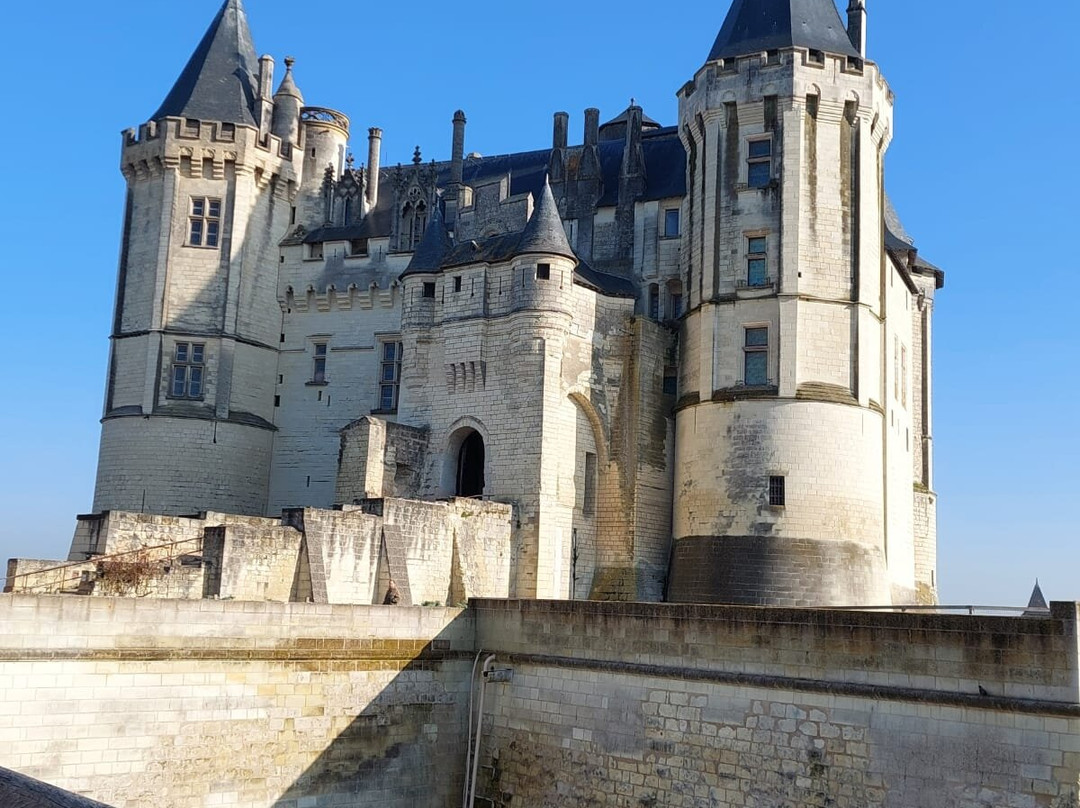 Château-musée De Saumur景点图片