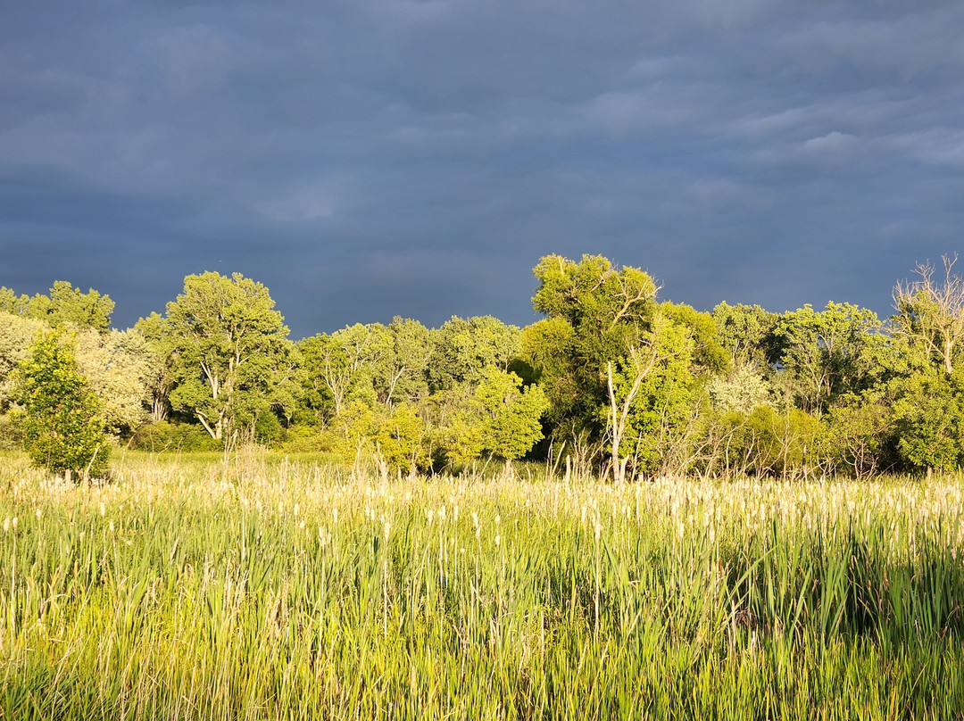 Huff Park-大急流市必去景点