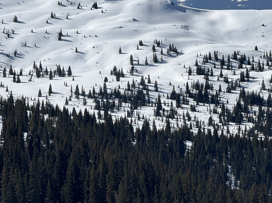 Nova Guides-Red Cliff必去景点