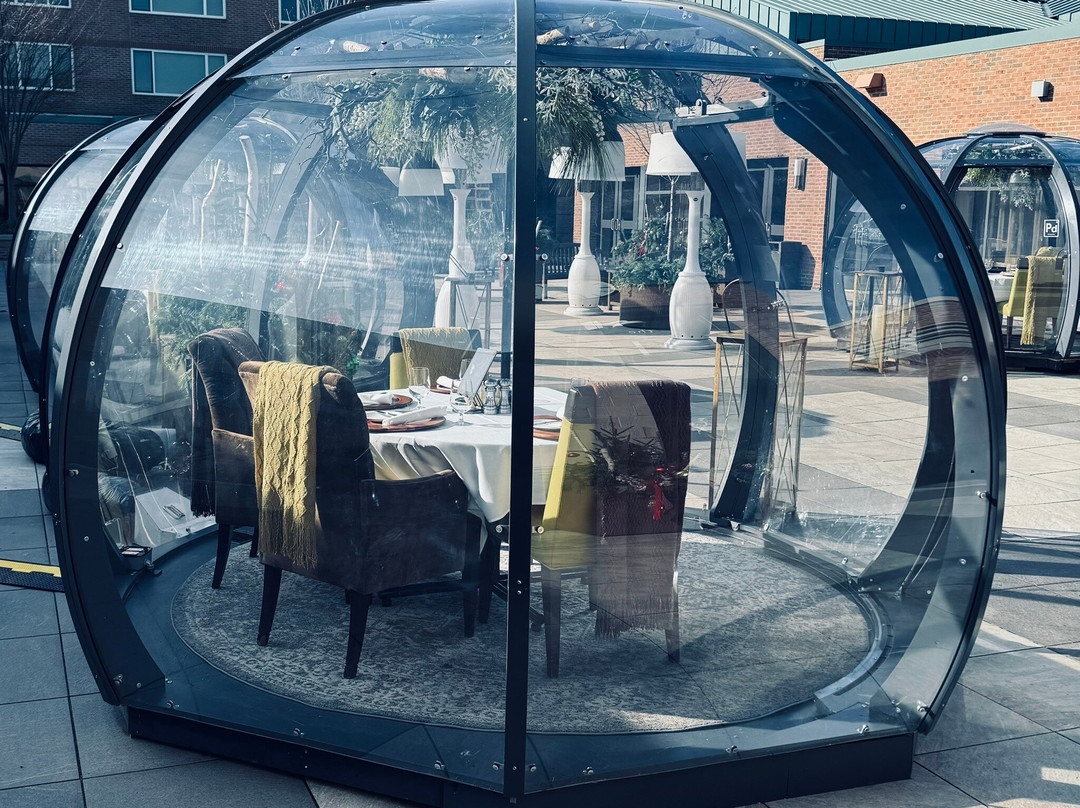 Oxygen Lounge景点图片